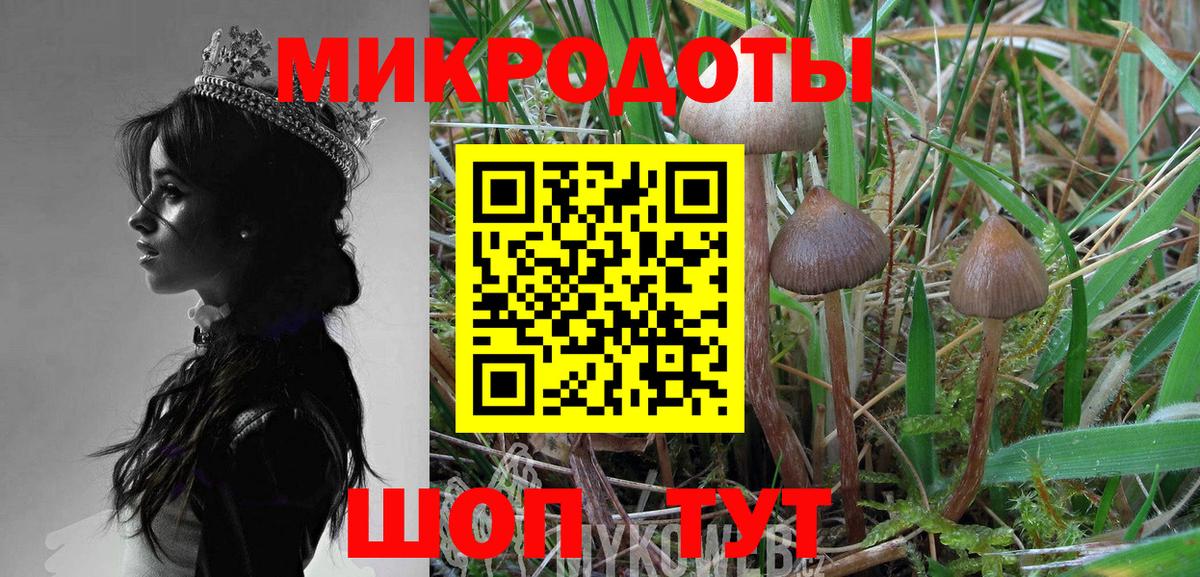 Галлюциногенные грибы Cubensis Миасс