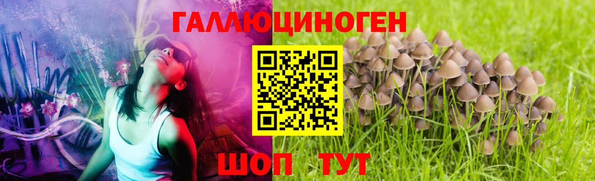 Галлюциногенные грибы MAGIC MUSHROOMS  Вход с VPN  Миасс 